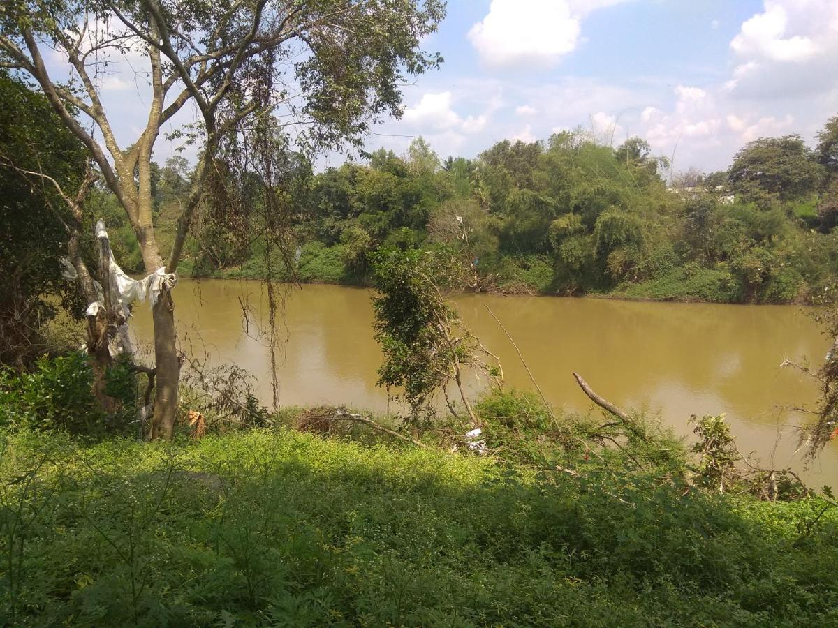 Dreams River View Homestay Coorg Kushalanagar Bagian luar foto