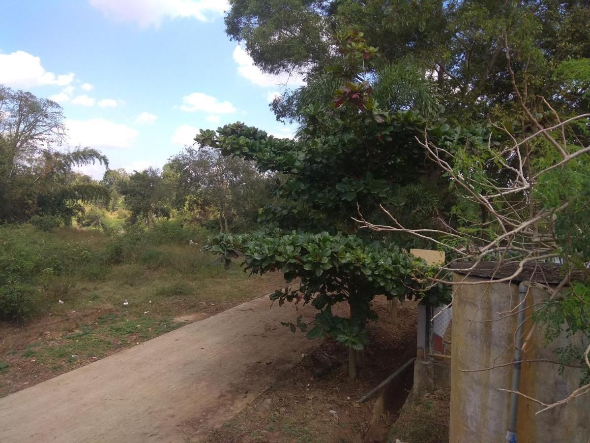 Dreams River View Homestay Coorg Kushalanagar Bagian luar foto